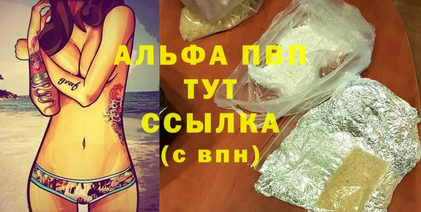 Альфа ПВП Няндома