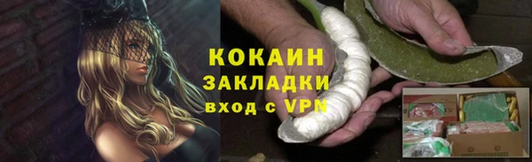 Альфа ПВП Няндома