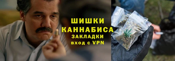 Альфа ПВП Няндома
