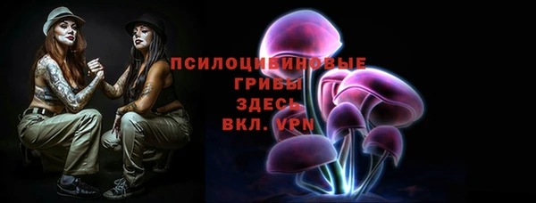 Альфа ПВП Няндома
