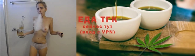 Альфа ПВП Няндома