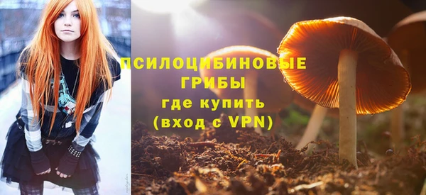 метадон Нягань