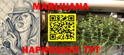 гидропоника Бийск