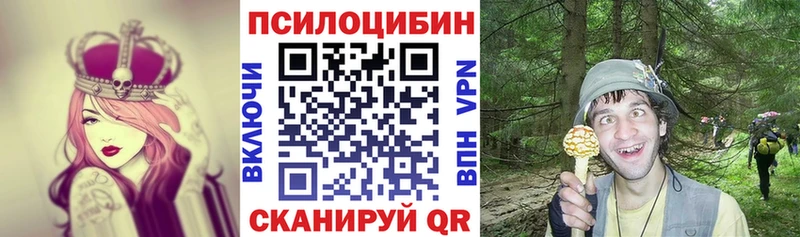 Галлюциногенные грибы прущие грибы Губкинский