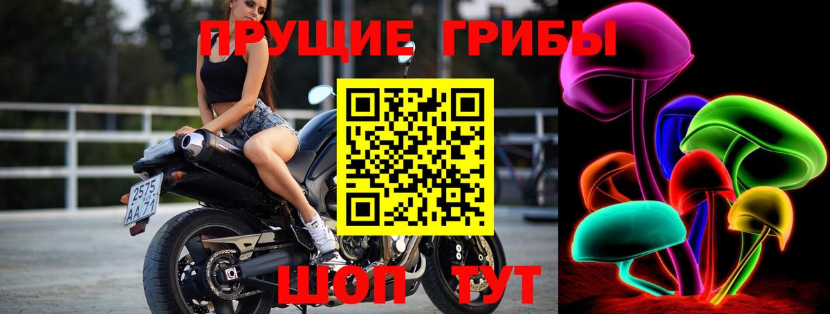 Псилоцибиновые грибы прущие грибы Губкинский