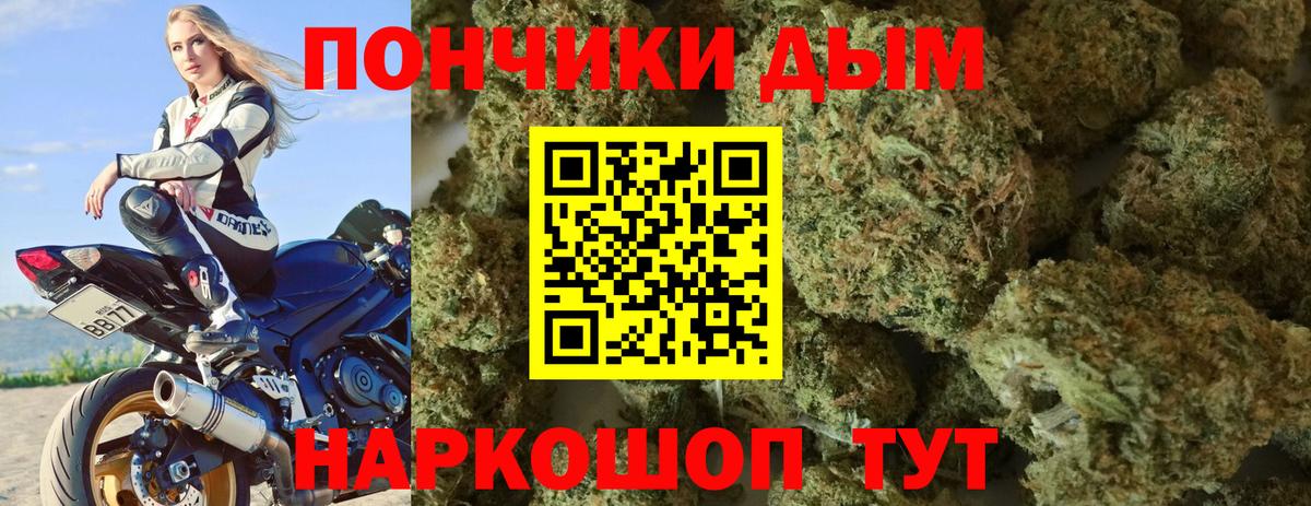 МАРИХУАНА Ganja  Канабис семена  Канабис MAZAR  Бошки Шишки семена  Губкинский 